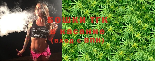 ПСИЛОЦИБИНОВЫЕ ГРИБЫ Гусь-Хрустальный