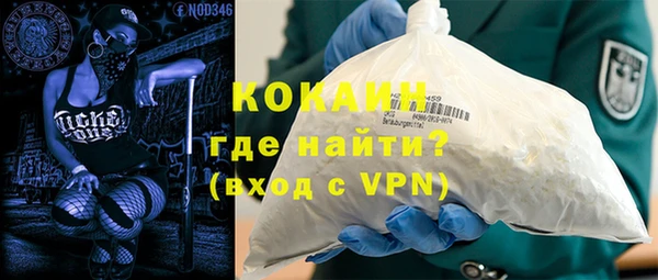 мдпв Гусев